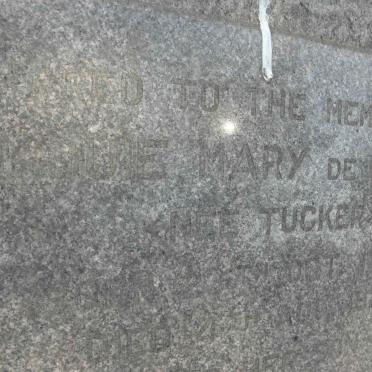 BEER ?uie Mary, de nee TUCKER 1849-1927 :: DE BEER Ferdie 1876-1937