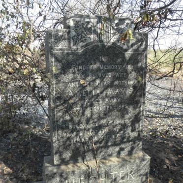 HECHTER Amelia Mavis -1962