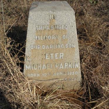 PARKIN Peter Michael 1950-1950