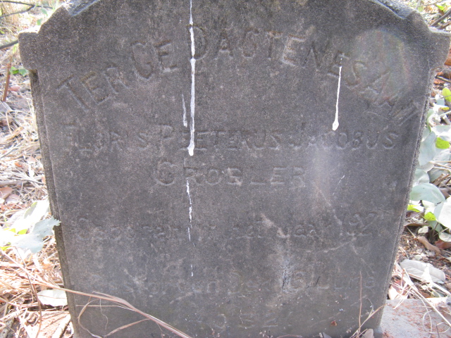 GROBLER Floris Peeterus Jacobus 1921-1932