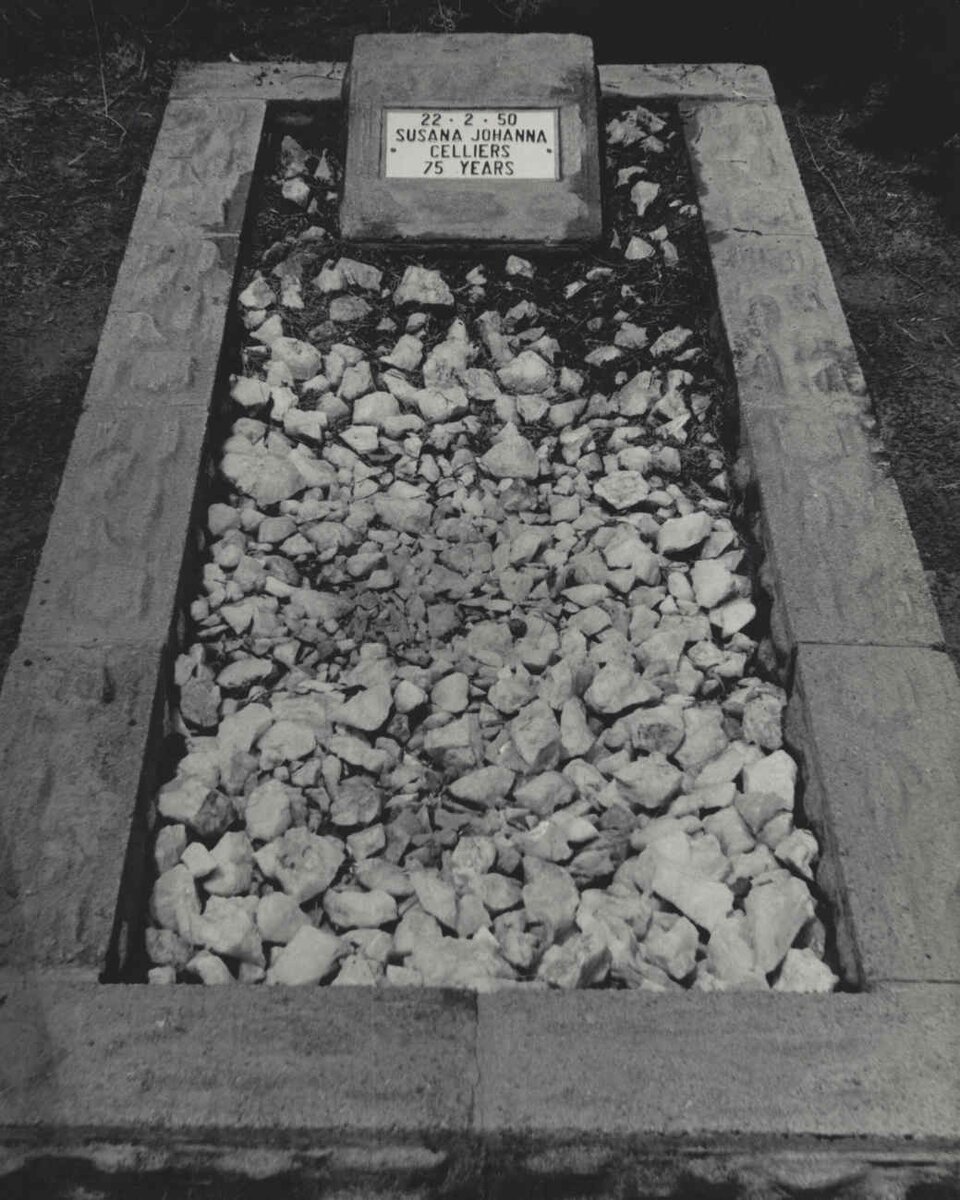 CELLIERS Susana Johanna -1950