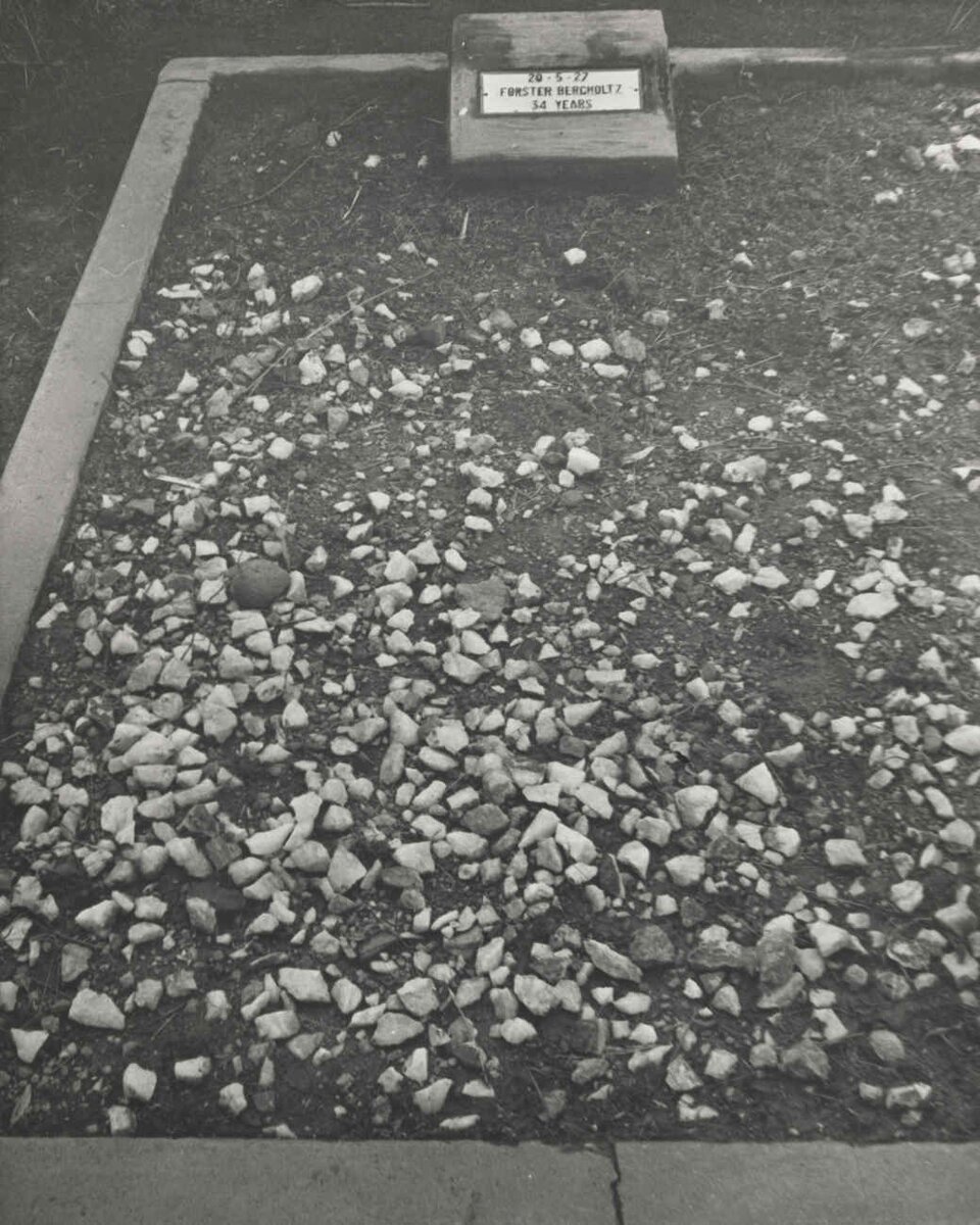 BERGHOLTZ Forster -1927