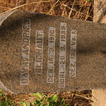 BLIGNAUT David Andries 1910-1939