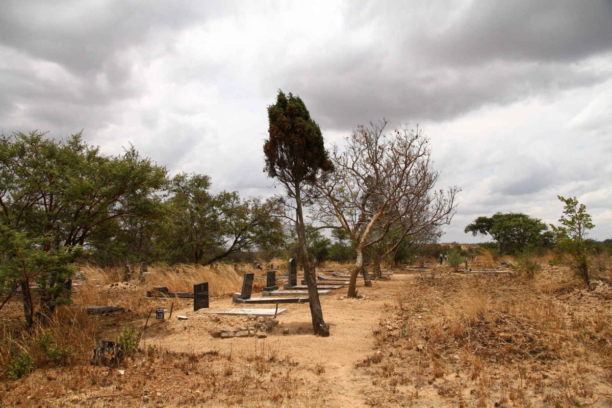 5. Overview / Oorsig