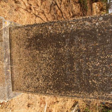 BERGH Johanna Sophia, van der nee DE WET 1881-1948