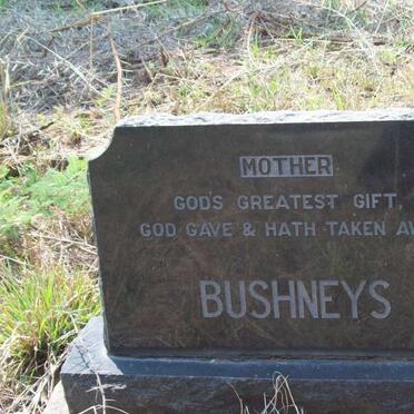 BUSHNEYS ?