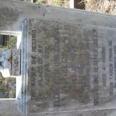 OLLEY Elizabeth Iris Louisa -1951 :: OLLEY Geraldine Heather -1951