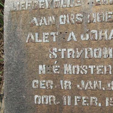 STRYDOM Aletta Johanna nee MOSTERT 1863-1950