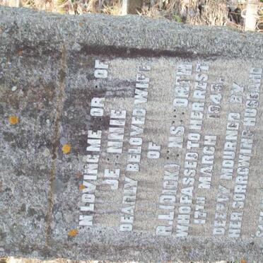 U - Surnames :: Vanne - U