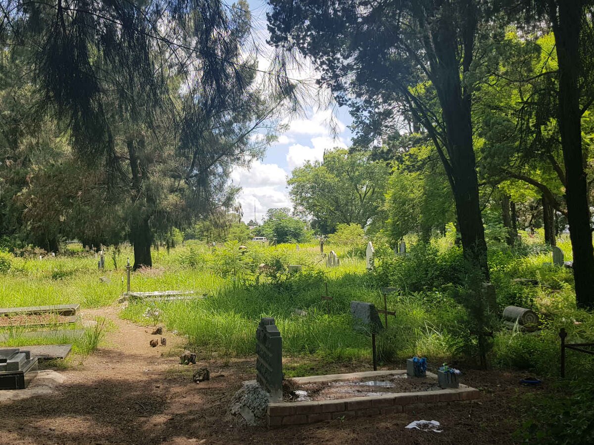 2. Overview / Oorsig