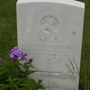 WALLIS W.G.H. -1917