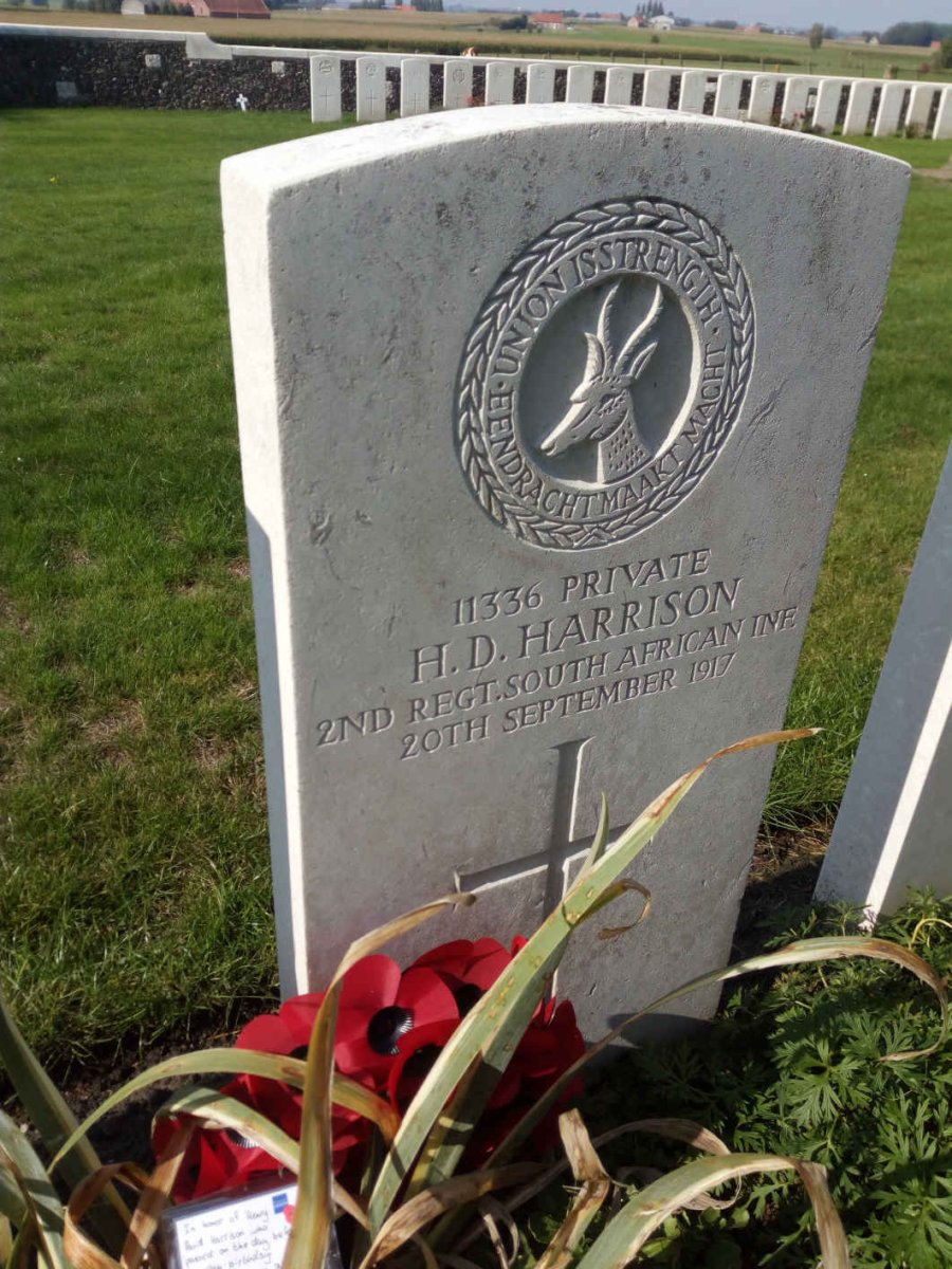 HARRISON H.D. -1917